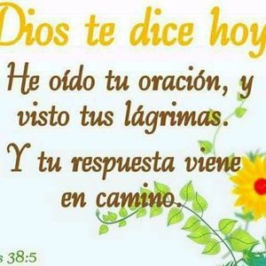 Meet your Posher, Jun